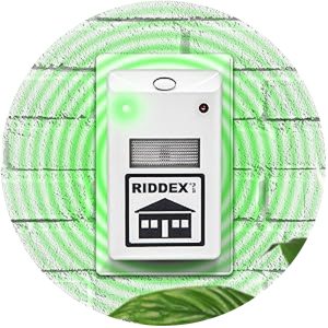 Ridex aparat protiv stetocina